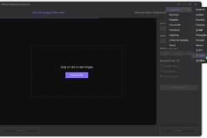 HitPaw Watermark Remover v1.0.1