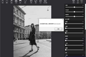 Picture Colorizer v2.4.0