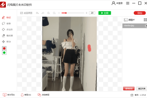 闪电图片去水印v2.5.4绿色版