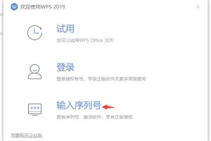 WPS 2019专业版永久激活码
