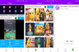 安卓短视频一键解析v1.0.1绿化版