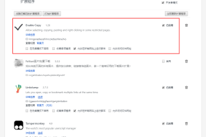 解除禁止复制插件Enable Copy