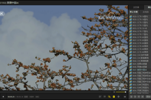 PotPlayer v1.7.22569绿色版