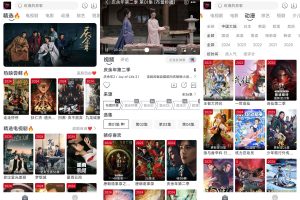 安卓布蕾4K v2.0.1去广告版