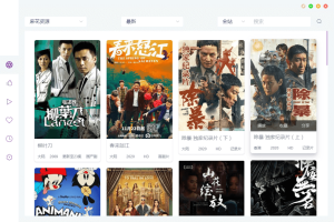 电脑ZYPlayer v2.8.4官方版