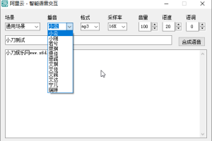 阿里云智能文字转语音源码